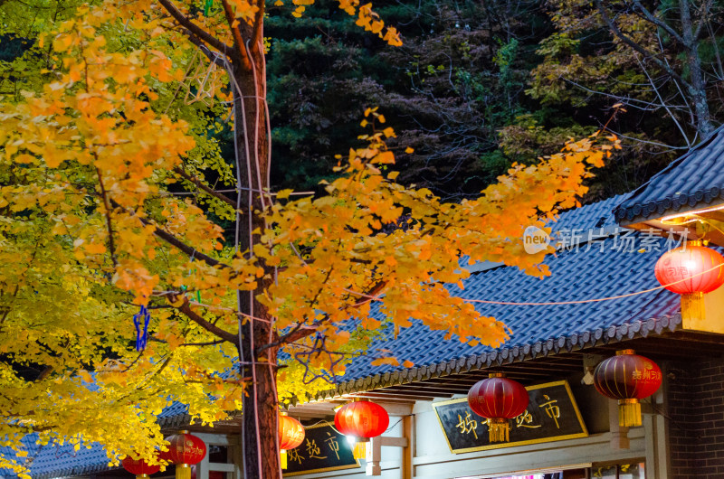 洛阳白云山景区夜景