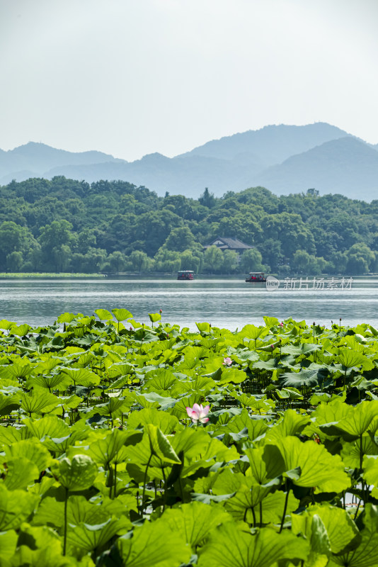 杭州西湖