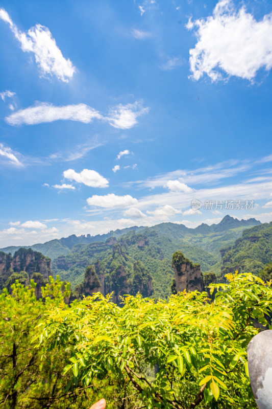 中国湖南张家界景区奇特山峰与茂密森林