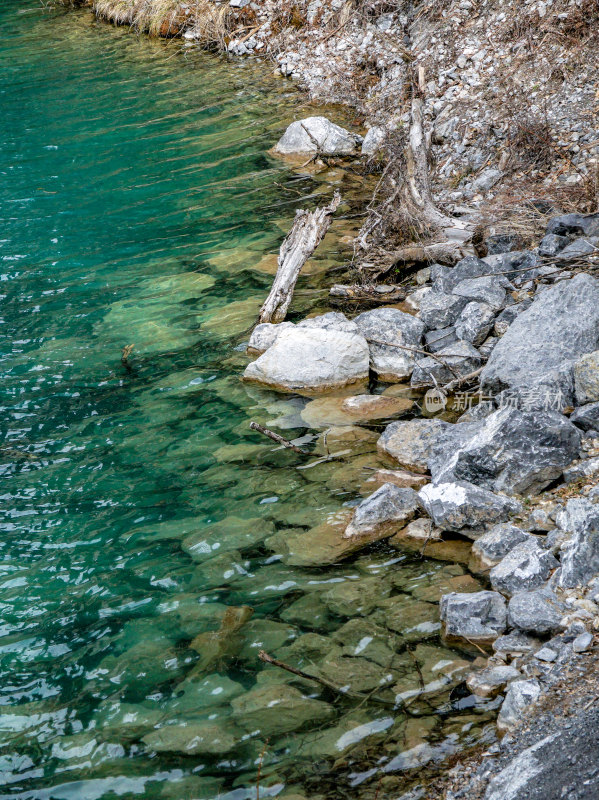 九寨沟的清澈湖水景观