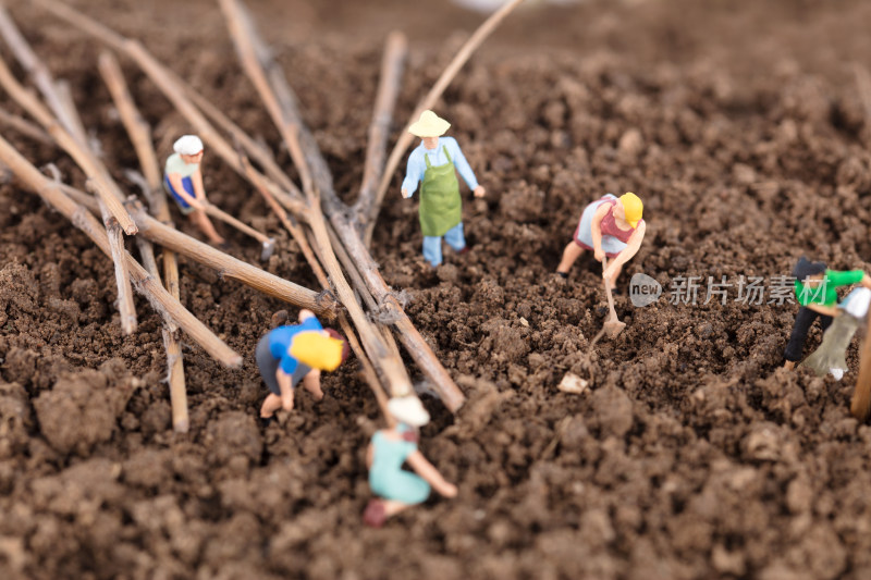 春天来临植树节开始绿化环境