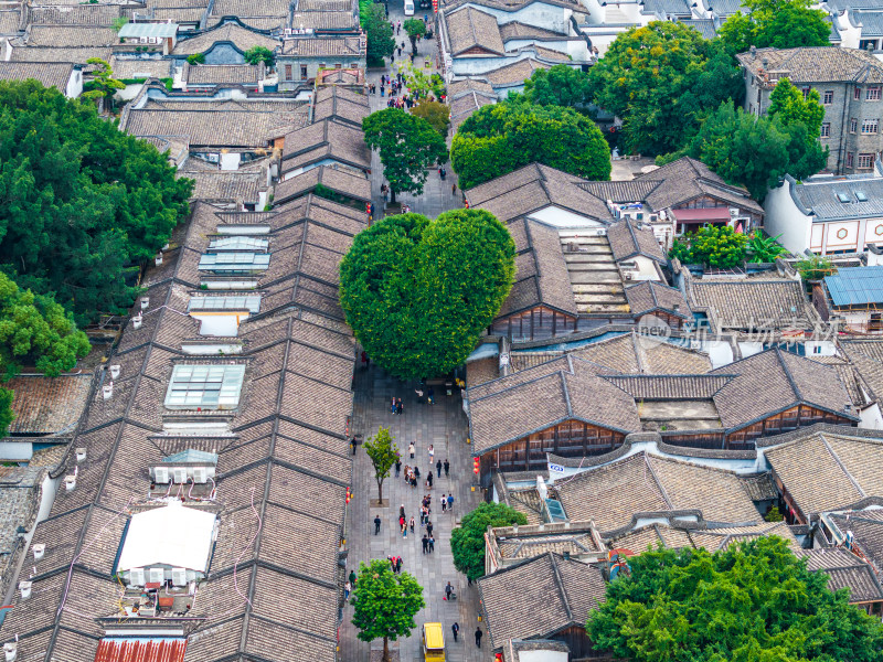 福建福州市鼓楼区三坊七巷古街心形树