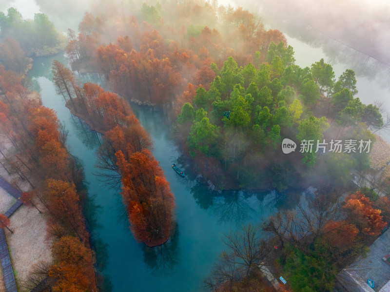 航拍下的西溪湿地晨雾及秋色风光