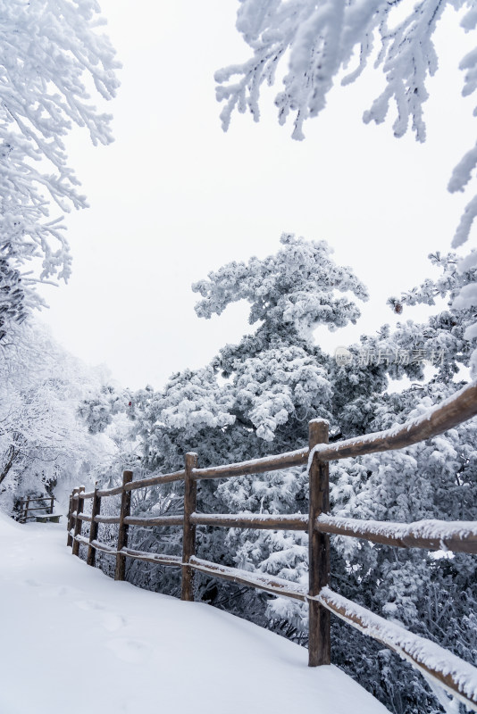 冬天大雪景区步道栏杆