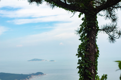 蓝天白云海天一色，树木葱茏