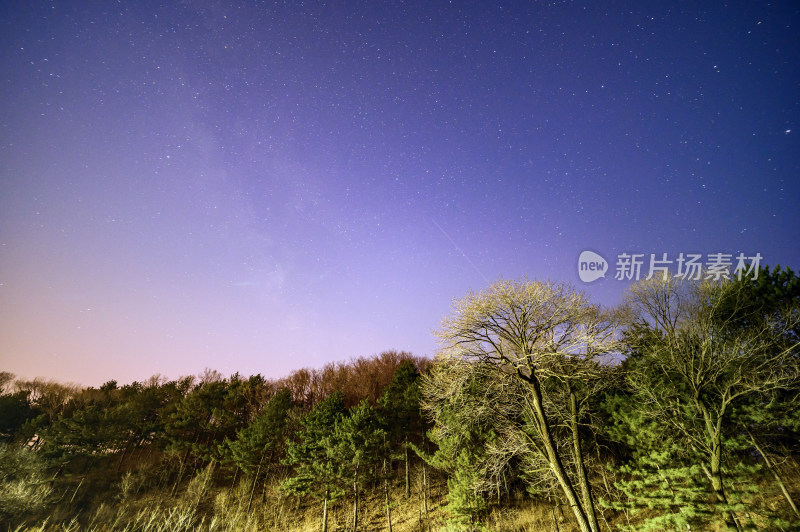 夜晚山林星空星轨与树林