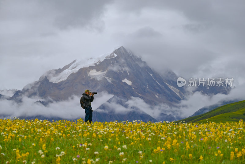 雪山花海