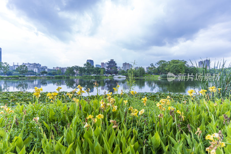 武汉武昌区紫阳公园风景