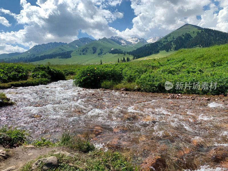 中国新疆伊犁那拉提草原旅游风光