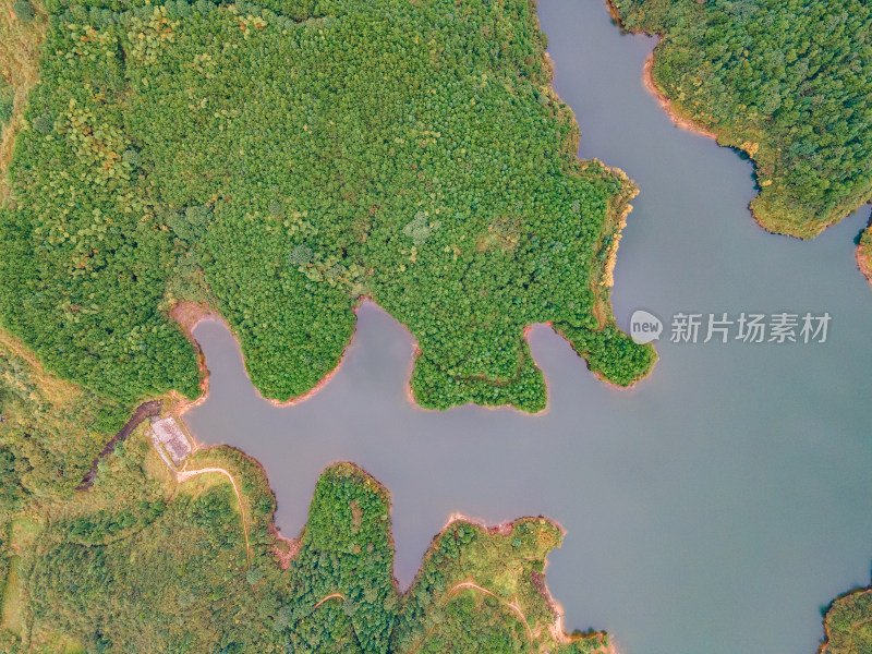 航拍丘陵大山水库绿色植物森林