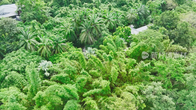 中科院西双版纳热带植物园