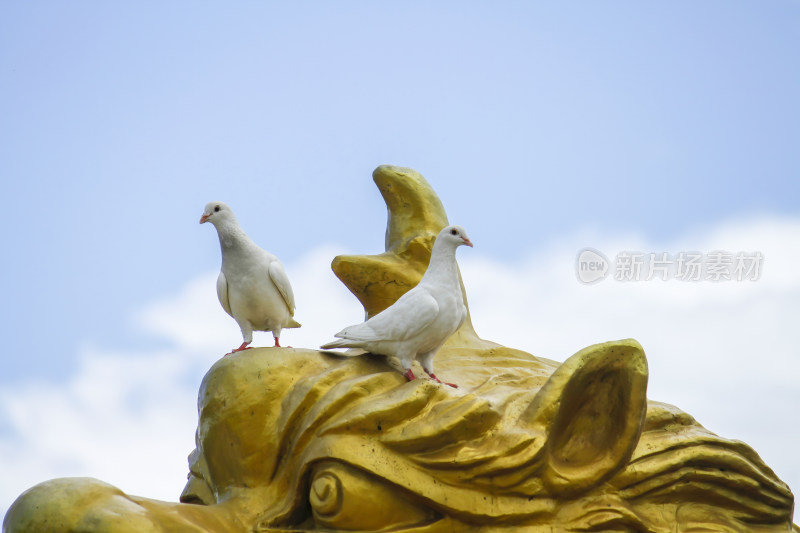 佛教寺庙古建筑前的金色麒麟雕塑