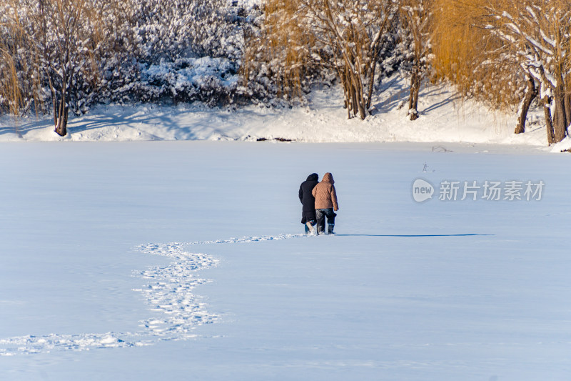 丁香湖公园内人们玩雪橇的欢乐场景