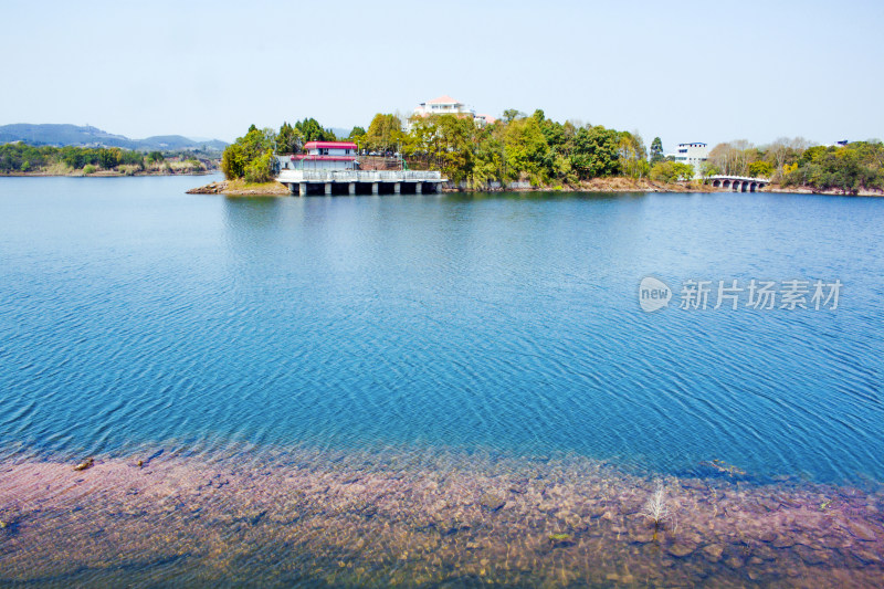 湖泊植物天空风景背景自然户外