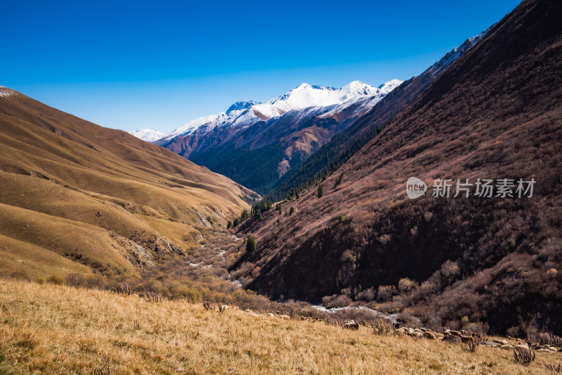 新疆天山山脉雪山山峰山脉