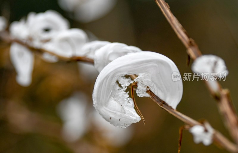 重庆酉阳：冻雨.冰花