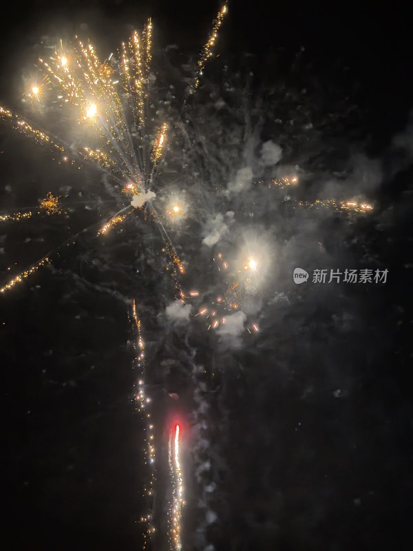 夜空中绽放的绚丽烟花