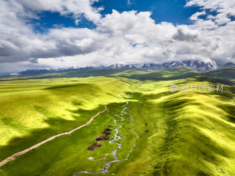 独库公路的草原美景