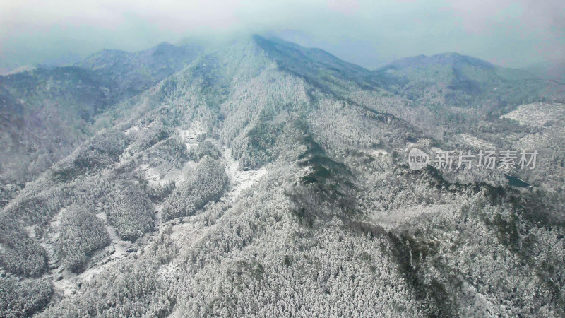 森林雪景