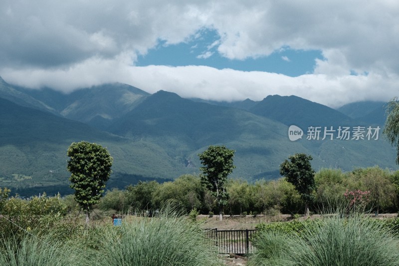 云雾缭绕的青山自然风光全景