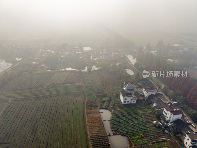 雾中乡村农田航拍景象