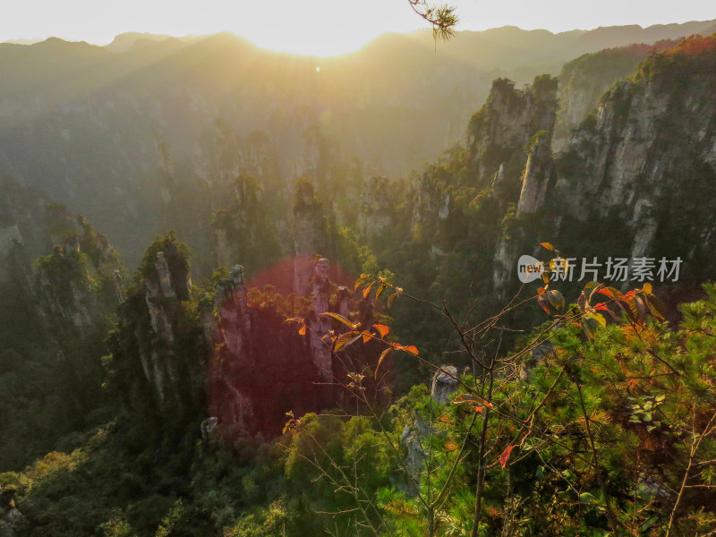 中国湖南张家界国家森林公园旅游风光