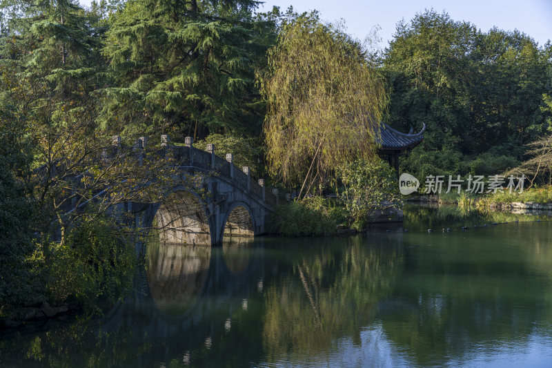 杭州西湖花港观鱼风景