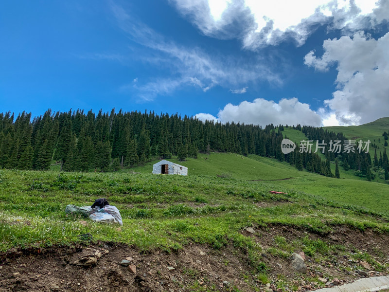 中国新疆伊犁那拉提草原旅游风光