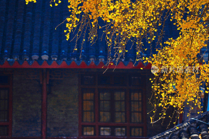 南京栖霞山栖霞寺