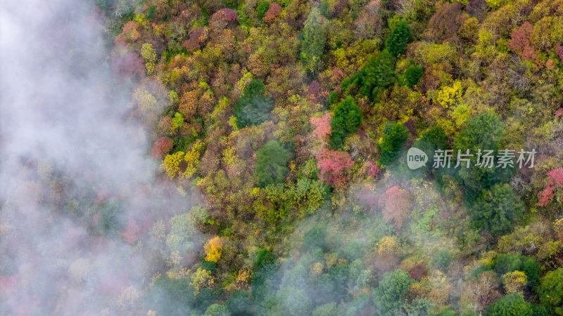 阿坝州黄龙风景名胜区秋色