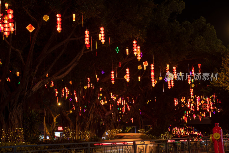 挂满彩灯的大树夜景