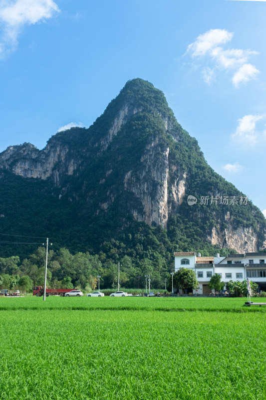 广西崇左市大新县明仕田园