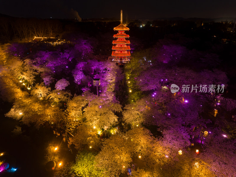 武汉东湖磨山樱花园夜景风光