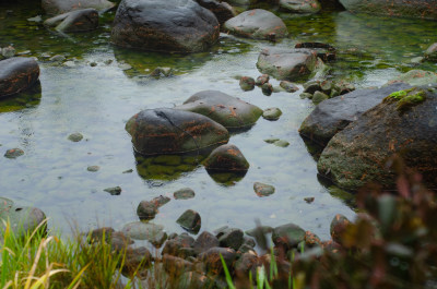 上海黄浦区的古城公园雨中的小河