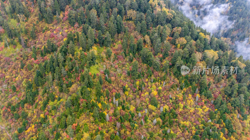 阿坝州黄龙风景名胜区秋色