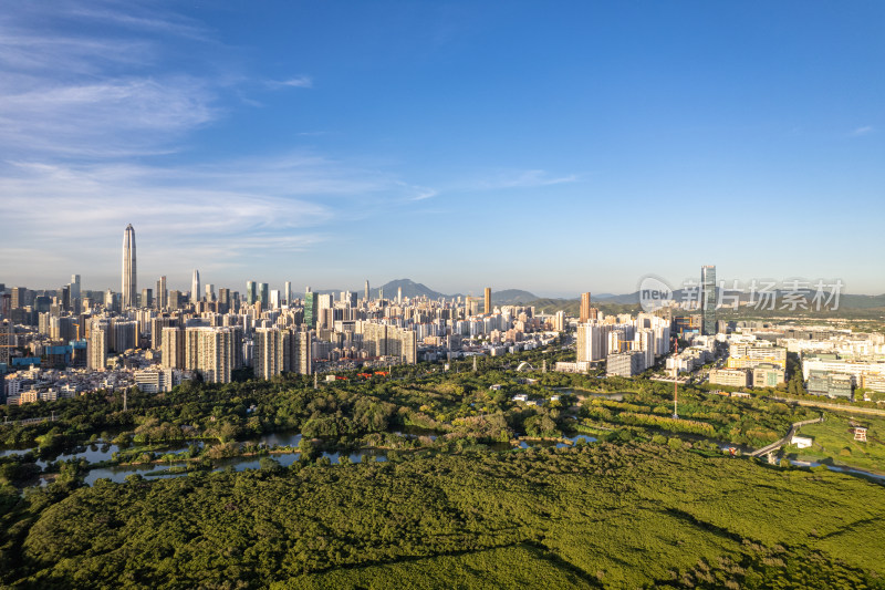 深圳市福田红树林生态公园