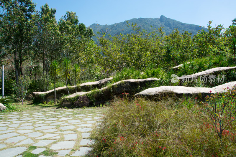 深圳大鹏七娘山科考路线登山口