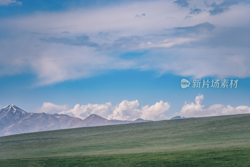 青海果洛阿尼玛卿山国家地质公园的高山草甸