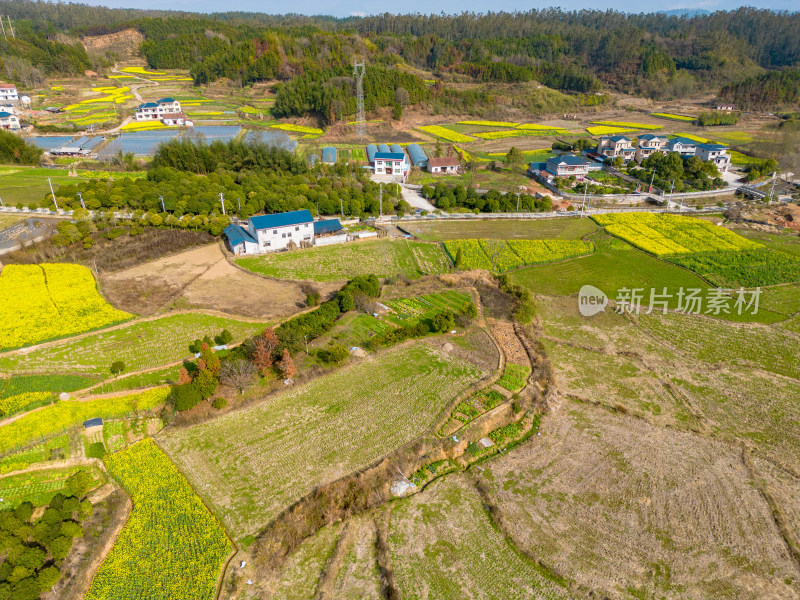 丘陵山川农田油菜花美丽乡村航拍摄影图