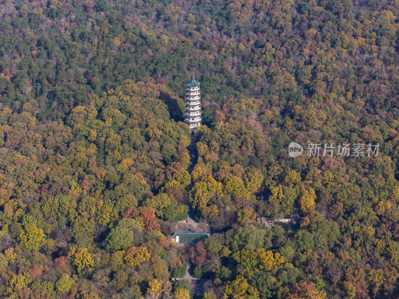 江苏南京中山陵灵山风景区音乐台秋色航拍