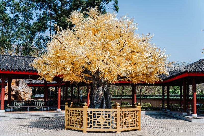 广州花都圆玄道观