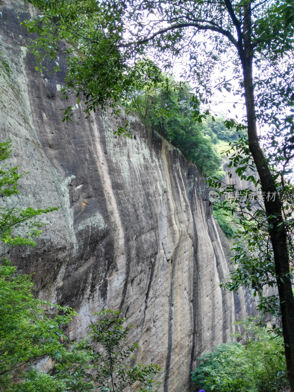 武夷山陡峭山壁与繁茂绿植景观