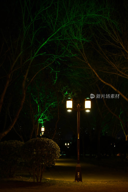 夜晚河道石桥景观