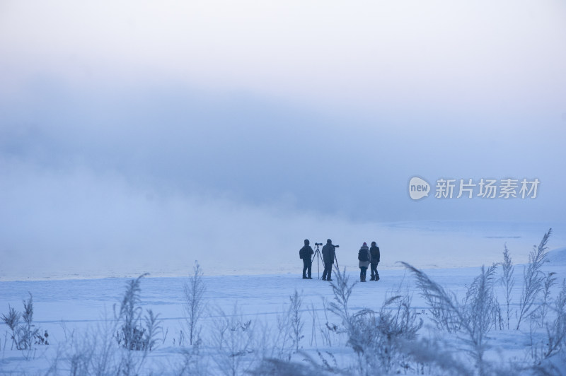 雾松岛拍摄