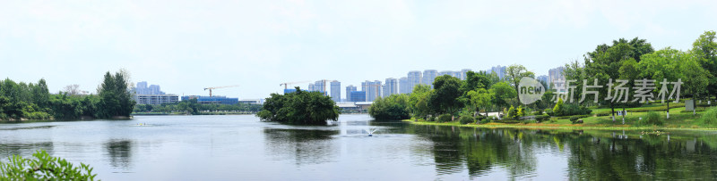 成都北湖生态公园夏日风光