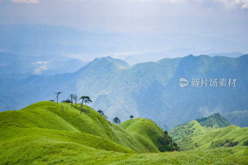 江西武功山高山草甸