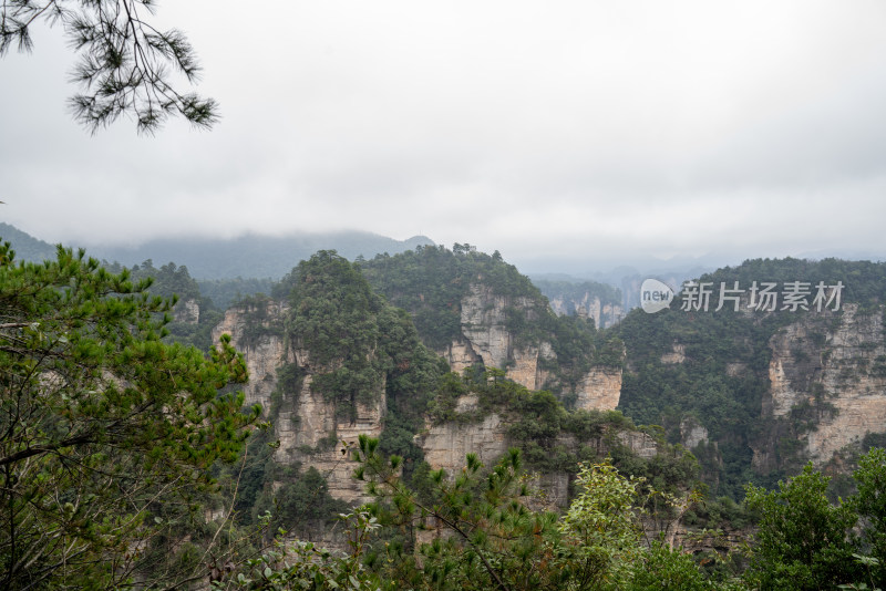 云雾缭绕的张家界奇峰异石景观