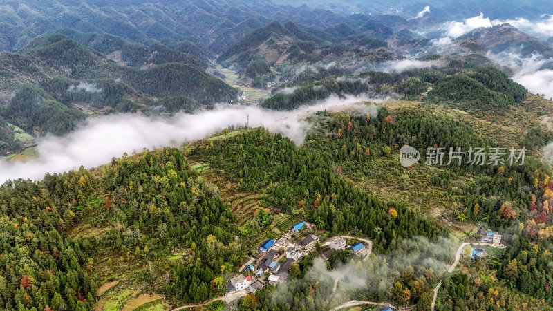 重庆酉阳：白果树边的美景