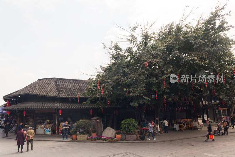 植物，建筑，自然