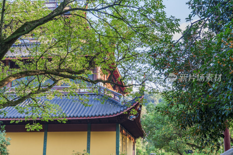 杭州西湖飞来峰灵隐寺千年古刹古建筑